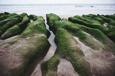 Scenic view of rocks on beach against sky