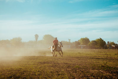 Man riding horse dusty field