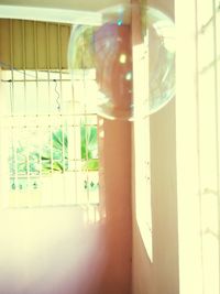 sunlight