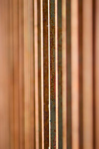 Full frame shot of bamboo wood