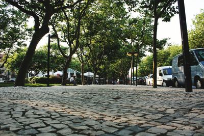 Surface level of empty pathway along trees