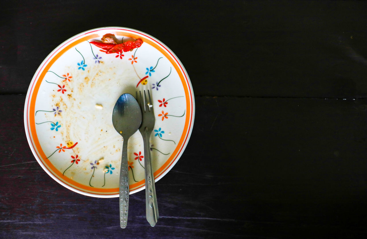 HIGH ANGLE VIEW OF FOOD IN PLATE