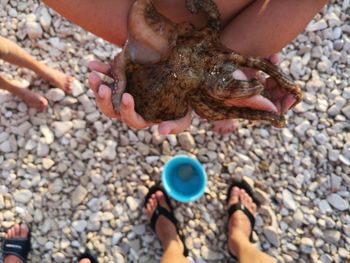 Low section of person holding pebbles at beach