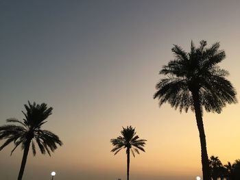 Silhouette palm trees against sky during sunset