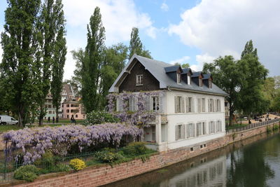 View of trees and houses against sky