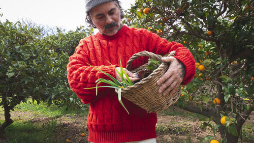 Farmer in the orchard holding a wicker basket with freshly picked vegetables person