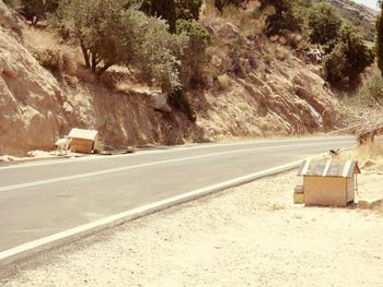 Road by trees against sky