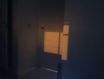 Shadow of person walking on door of building