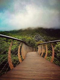 Narrow footbridge along plants and trees against sky