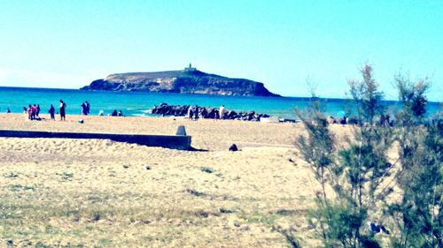 People on beach against clear blue sky