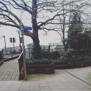 Bare tree in city against sky