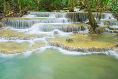 Scenic view of waterfall in forest