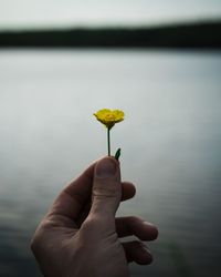 Close-up of hand holding plant against lake