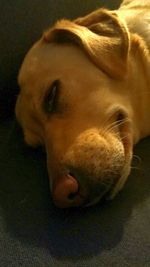 Portrait of young woman