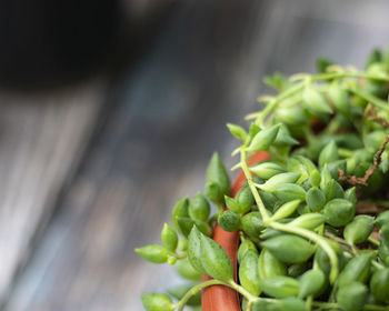 Close-up of chopped vegetables on table