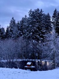 Trees on snow covered field against sky