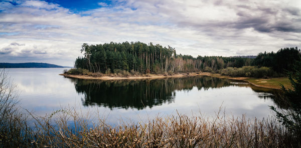reflection