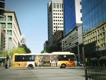 Vehicles on road along buildings