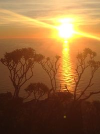 Silhouette trees by sea against sky during sunset