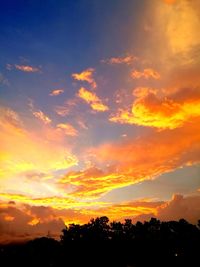 Low angle view of silhouette trees against dramatic sky