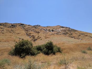 Scenic view of landscape against clear blue sky