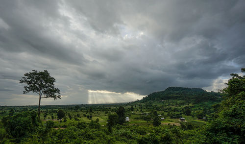 Scenic view of trees on field against storm clouds