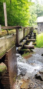 View of stream flowing through plants