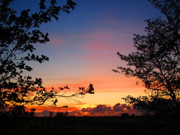 Silhouette trees against sky during sunset