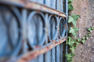 Close-up of metallic wall