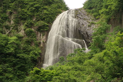 Fall,green,water,japan,abyss