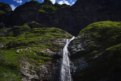 Scenic view of waterfall in forest