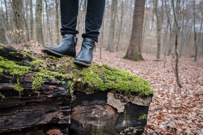 Low section of man on tree trunk in forest