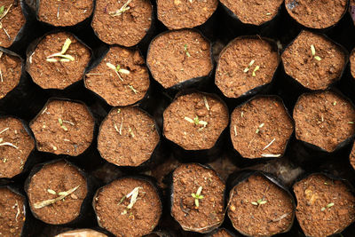 Full frame shot of firewood