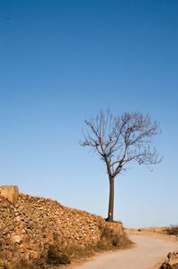 Bare tree on landscape against clear blue sky