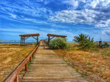 Boardwalk amidst plants on land against sky