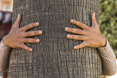 Close-up of hands on tree trunk