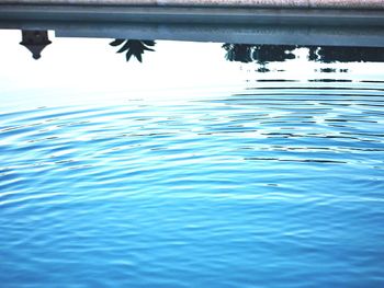 Reflection of trees in water