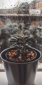 Close-up of wet glass window in rainy season
