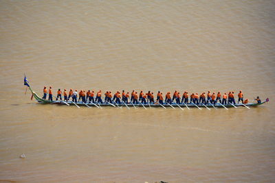 High angle view of men rowing boat on lake