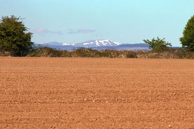 Scenic view of field against sky