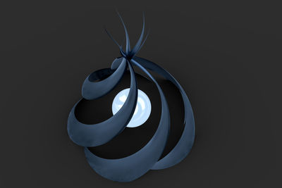 Close-up of spiral tied up against black background