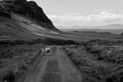 Scenic view of road amidst field against sky