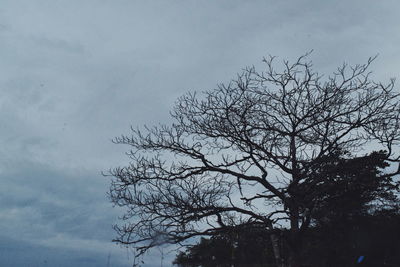 Low angle view of silhouette bare tree against sky