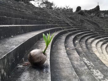 View of tree against sky