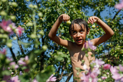 Low angle view of boy holding fruits on tree