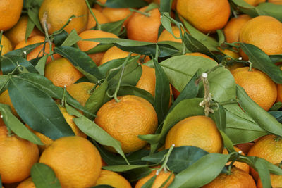 Full frame shot of oranges