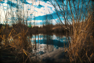 Scenic view of lake against sky