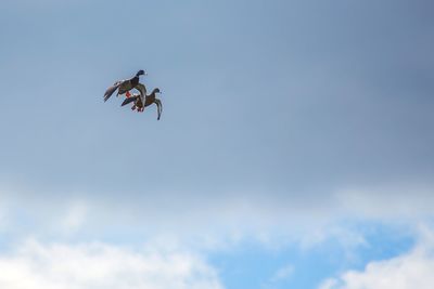 Low angle view of helicopter flying in sky