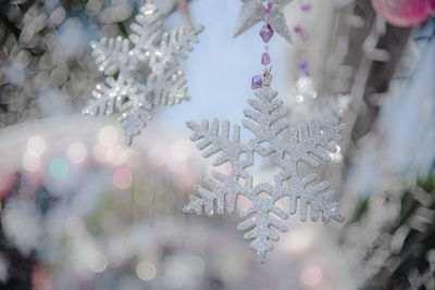 Close-up of christmas tree