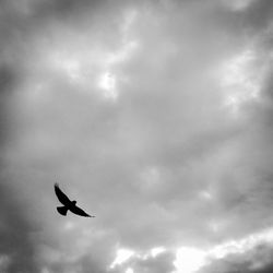 Low angle view of birds flying against cloudy sky